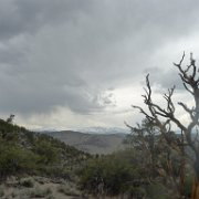 MonoBasin 027 : MonoBasin